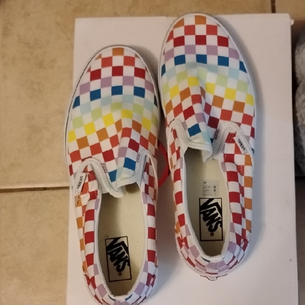 Vans Multicolor Checkerboard Slip-On Shoes